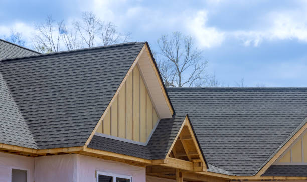 Best Asphalt Shingles Roofing  in Vinton, IA
